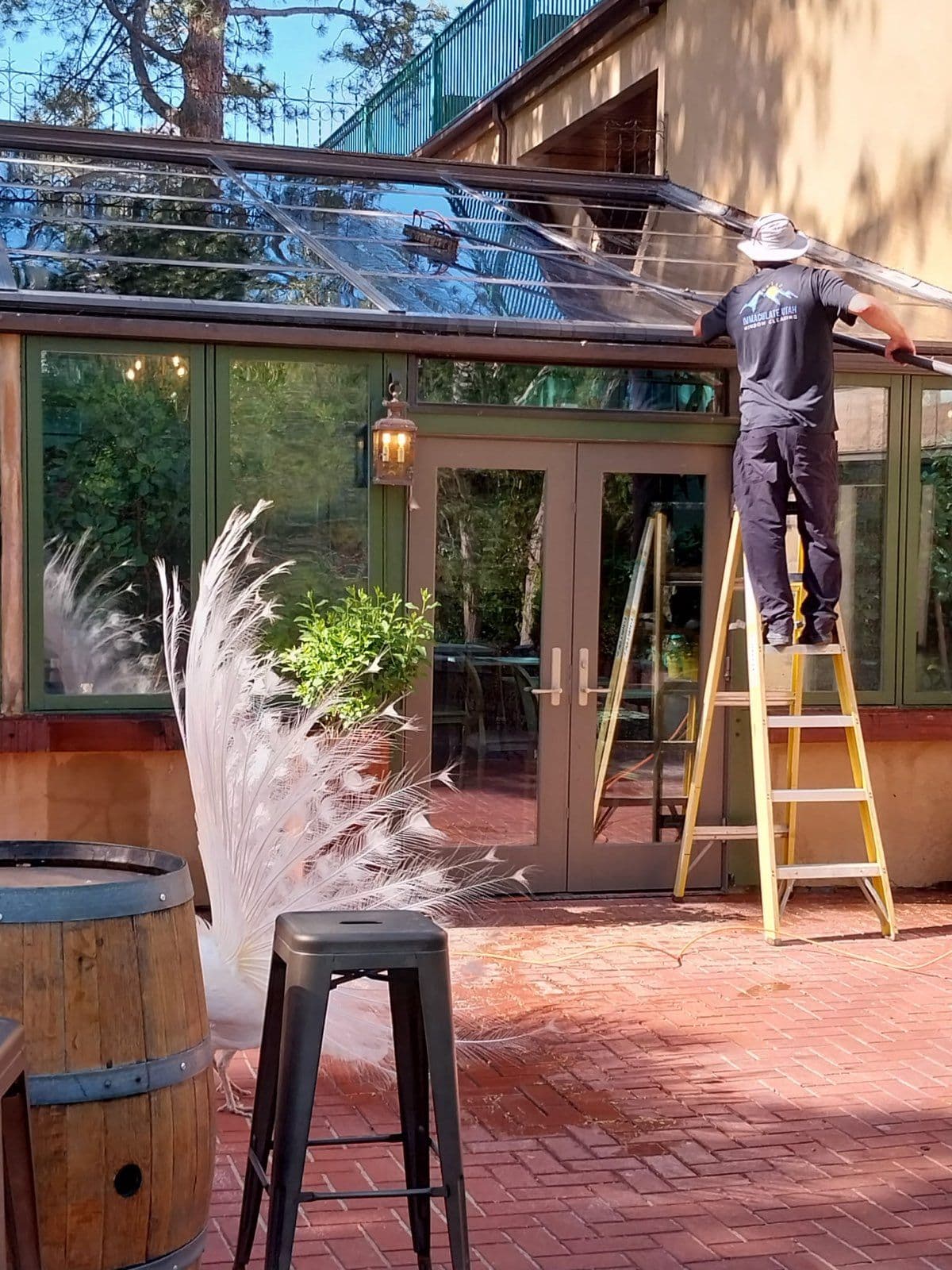 Project Gleaming Glass at LaCaille Restaurant image
